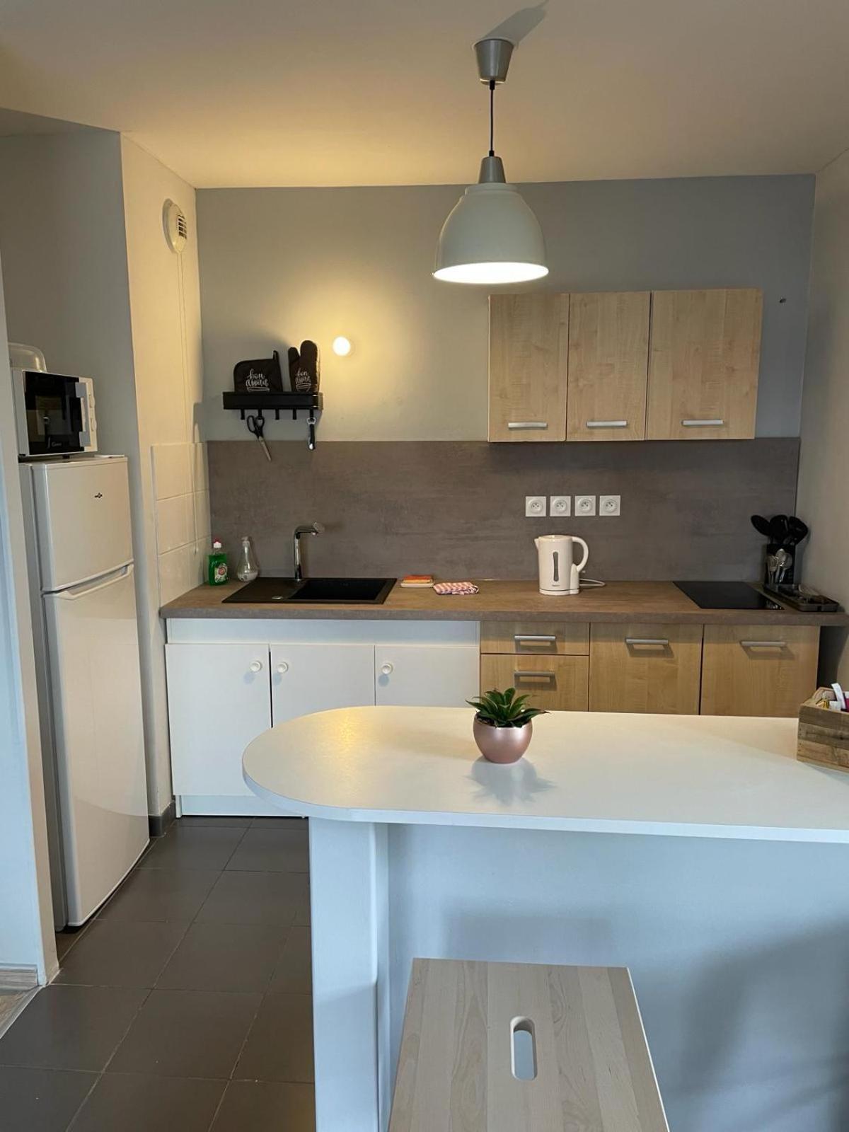 Appartement 2 Chambres Avec Terrasse Et Garage Saint-Andre-lez-Lille 外观 照片
